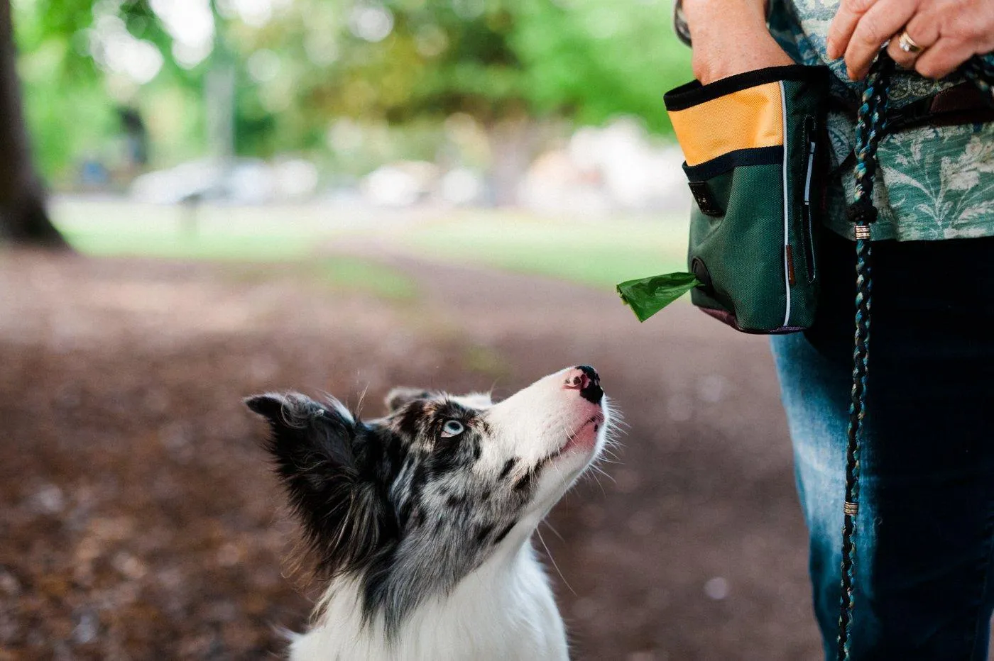 PLAY Deluxe Treat Training Pouch